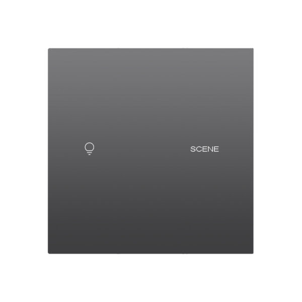 X20 1 Gang 1 Scene Smart Light Switch