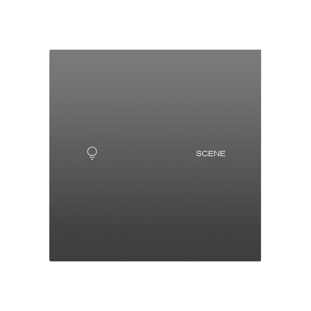 X20 1 Gang 1 Scene Smart Light Switch