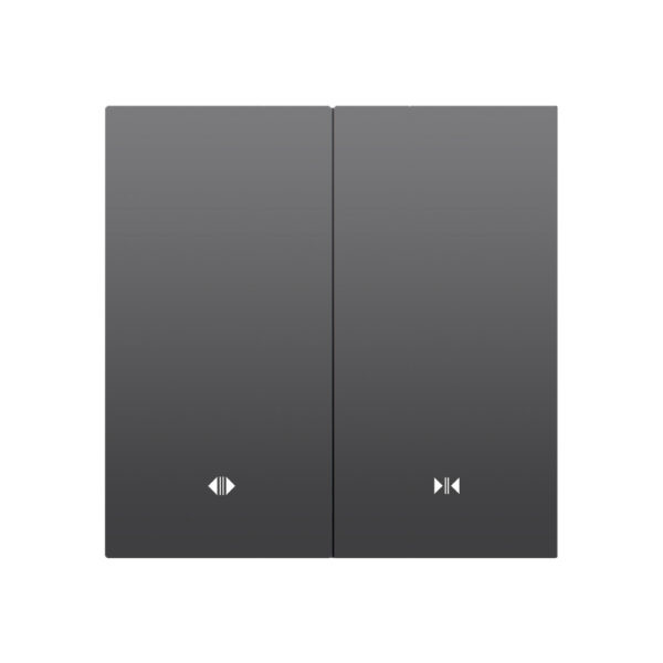 X20 1 Motor Smart Curtain Switch