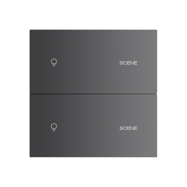 X20 2 Gang 2 Scene Smart Light Switch