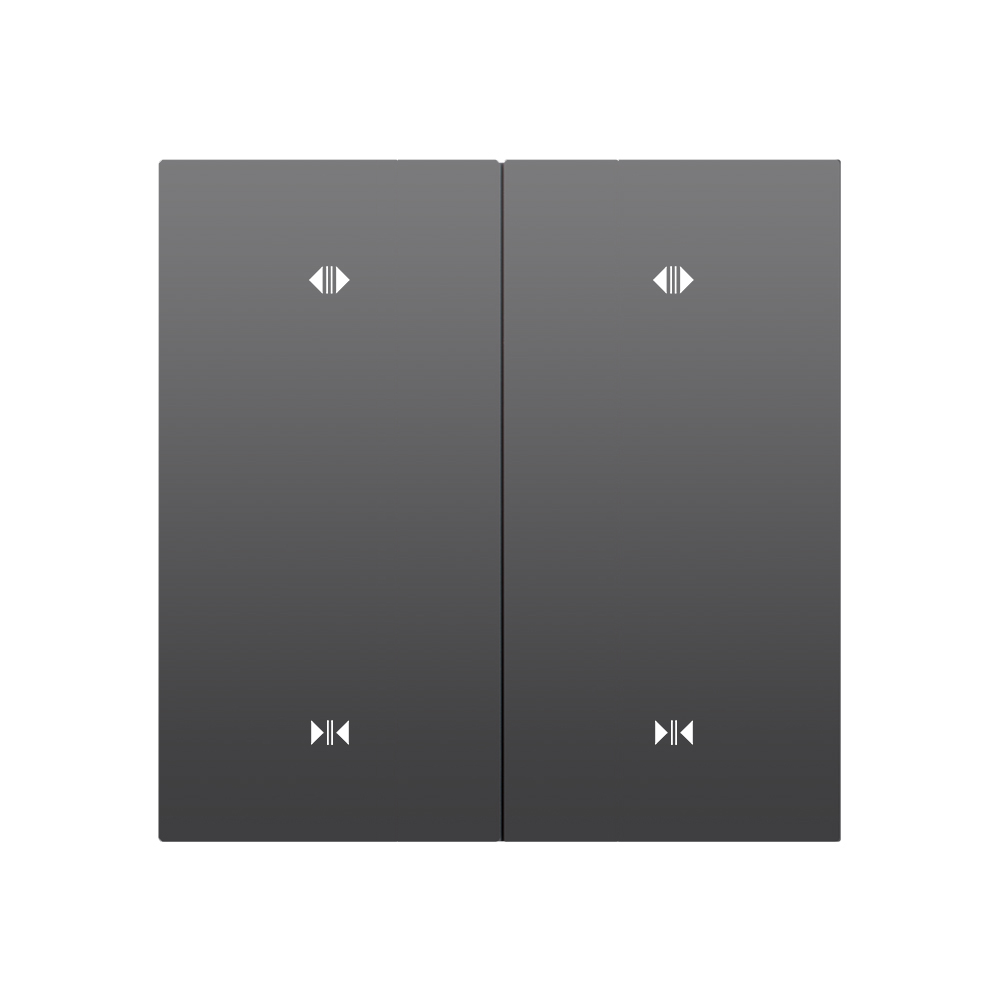 X20 2 Motor Smart Curtain Switch