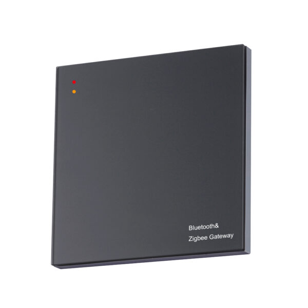 X30 Bluetooth& Zigbee Gateway