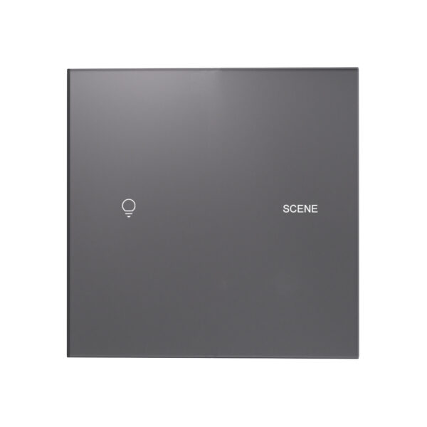 X39UAG 1 Gang 1 Scene Smart Light Switch