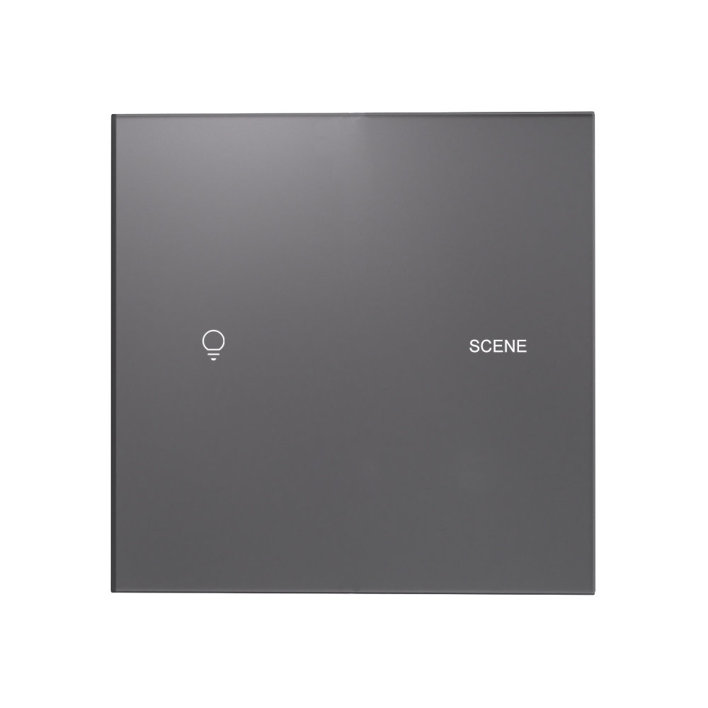 X39UAG 1 Gang 1 Scene Smart Light Switch