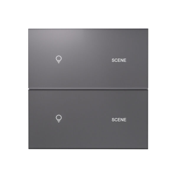 X39UAG 2 Gang 2 Scene Smart Light Switch