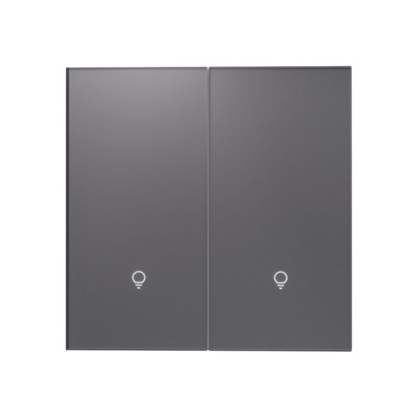 X39UAG 2 Gang Smart Light Switch