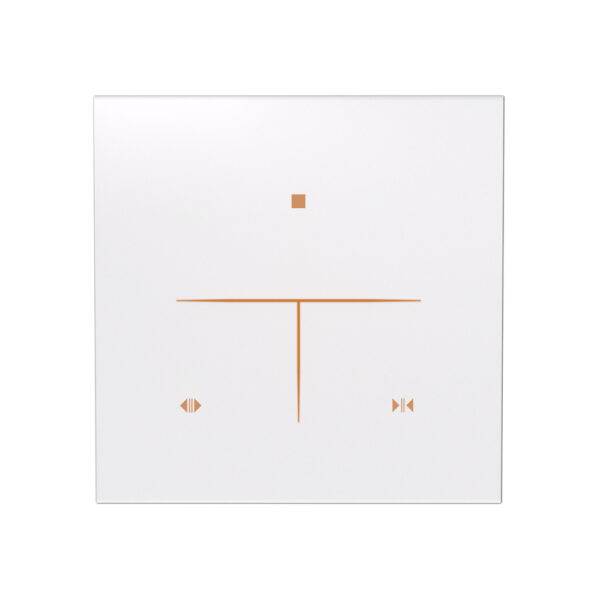 X31U 1 Motor Smart Curtain Switch