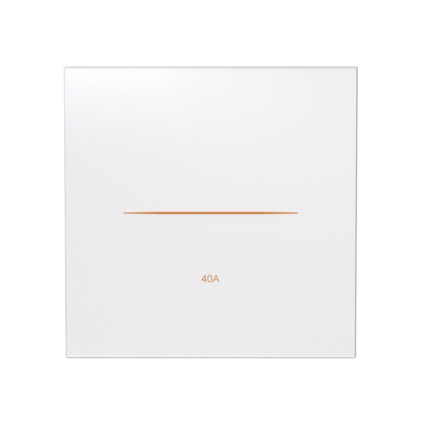 X31U 40A 2 Pole Smart Power Switch