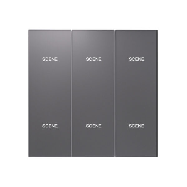 X39UAG 6 Scene Smart Switch