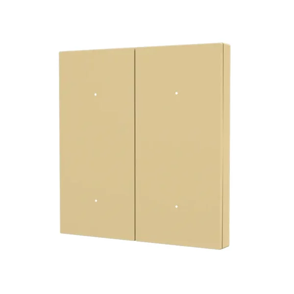 D60 2 Gang 2 Scene Smart Switch