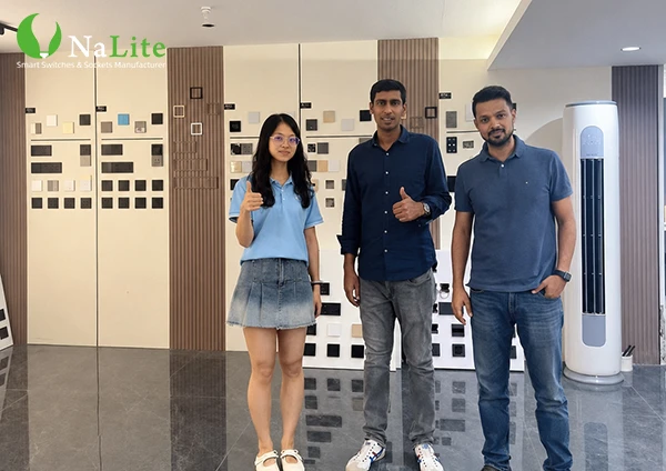 NaLite Smart Discusses X31X39 Switch Solutions with an Indian Project Customer